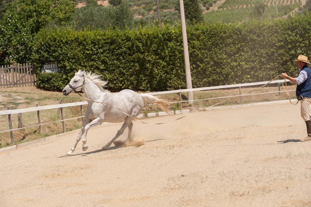Podere Il Poggiolo Понтассьєве Екстер'єр фото